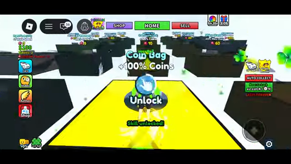Dream Car Collection Racing Guide gameplay screenshot