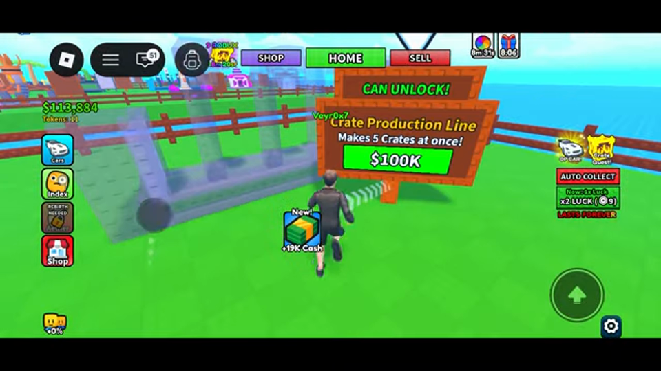 Dream Car Collection Update: Codes, Potions & Redeem Steps gameplay screenshot
